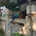 China Reise Bigband_02.jpg